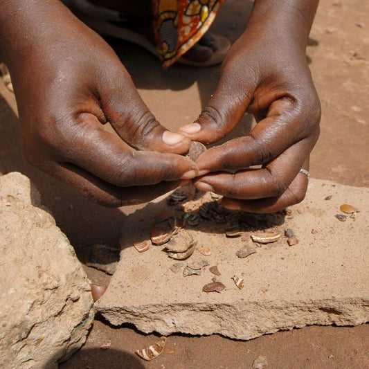 Ingredient Spotlight: Shea Butter