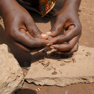 Ingredient Spotlight: Shea Butter